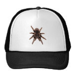 Tarantula Mesh Hat