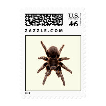 Tarantula Stamp
