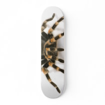 Tarantula skateboards
