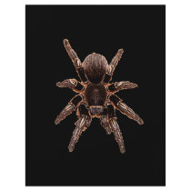 Tarantula Spider Flyers