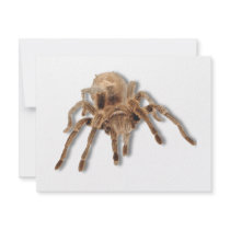 Tarantula spider custom invites