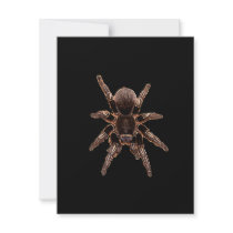 Tarantula Spider Personalized Invites