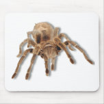 Tarantula spider mouse pads