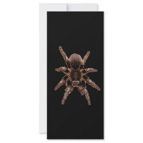 Tarantula Spider Full Color Rack Card