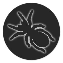 Tarantula Sticker