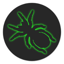 Tarantula Sticker