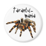 Tarantula, tarantul-mania, spider magnets
