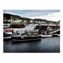 Tarbert Harbour Postcard postcards