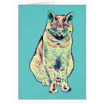 Tarjeta colorida del gato
