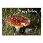 "Tarjeta de cumpleaños de la seta del agárico de m
