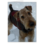 Tarjeta de felicitación de Airedale Terrier tarjetas
