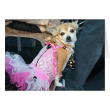 Tarjeta de felicitación de la chihuahua