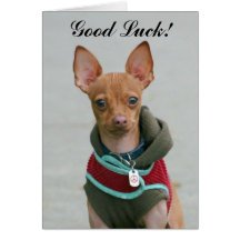 Tarjeta de felicitación de la chihuahua de la buen