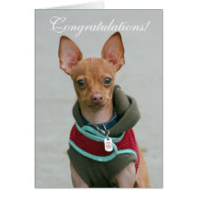Tarjeta de felicitación de la chihuahua de la enho