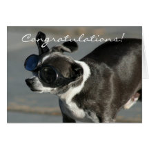 Tarjeta de felicitación de la chihuahua de la enho
