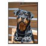 Tarjeta de felicitación de Rottweiler