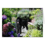 Tarjeta de felicitación del jardín del caniche