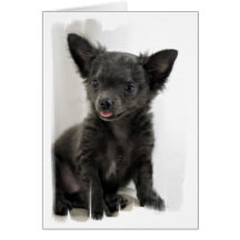 Tarjeta de felicitación negra de la chihuahua