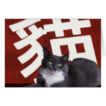 Tarjeta de felicitación roja del gato