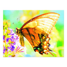Tarjeta de la invitación de la mariposa de Swallow
