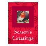 Tarjeta de Navidad roja del pájaro del día de fies