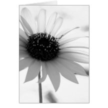 Tarjeta de nota transparente de la flor de BW