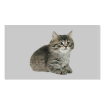 Tarjeta de visita del gato