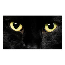 Tarjeta de visita del gato
