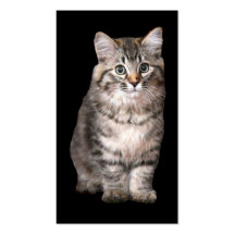 Tarjeta de visita del gato