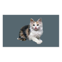 Tarjeta de visita del gato