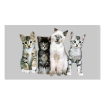 Tarjeta de visita del gato