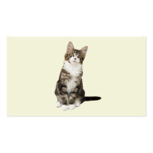 Tarjeta de visita del gato