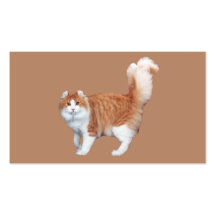 Tarjeta de visita del gato
