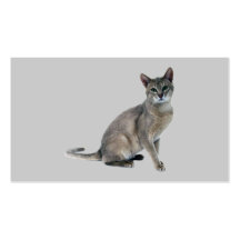 Tarjeta de visita del gato