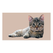 Tarjeta de visita del gato