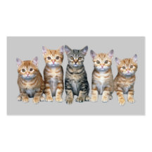 Tarjeta de visita del gato