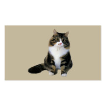Tarjeta de visita del gato