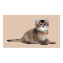 Tarjeta de visita del gato