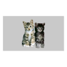 Tarjeta de visita del Twosome de los gatitos de lo