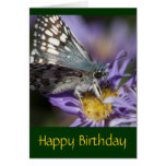 Tarjeta del feliz cumpleaños de la mariposa