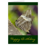 Tarjeta del feliz cumpleaños de la mariposa