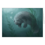 Tarjeta del Manatee