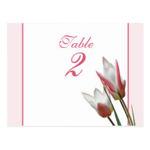 Tarjeta del número de la tabla del boda del tulipá postal
