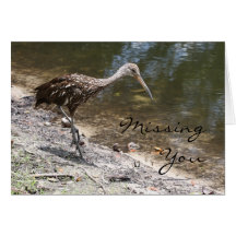 Tarjeta del personalizable de Limpkin