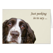 Tarjeta personalizada del perro de aguas de saltad