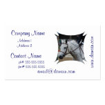 Tarjetas de visita grises del caballo del Appaloos