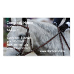Tarjetas de visita grises del caballo del Appaloos