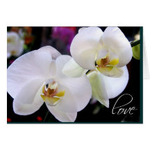 Tarjetas del amor de la orquídea
