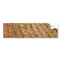 Taro field bumper stickers