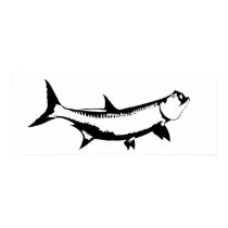 Tarpon Graphic posters by Galvetraz Tarpon Graphic posters